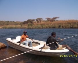 WhatsApp Image 2025-09-13 at 17.39.34